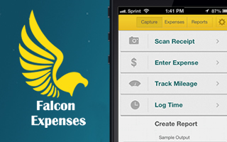 Falcon Expenses iPhone App
